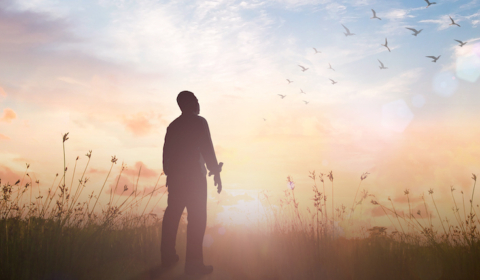 Silhouette of man looking at birds in the sky